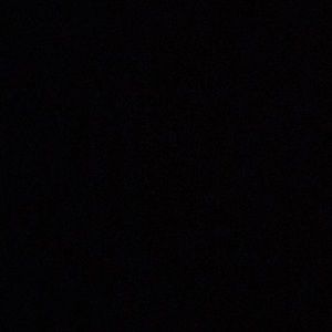 Meet your Posher, Trina